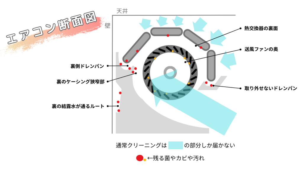 cross_section(1)