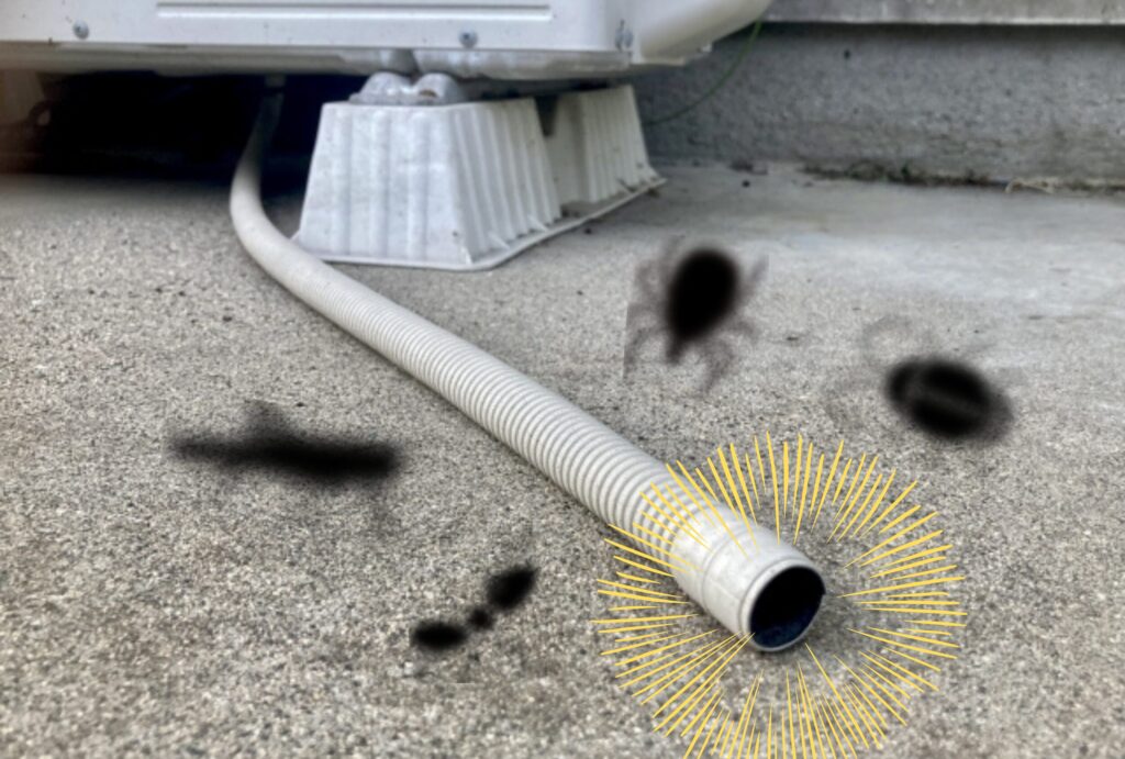 insects-in-aircon(2)