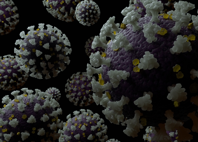 virus